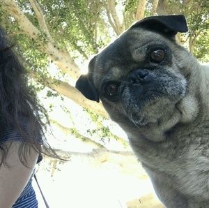 Meet your Posher, Kelly